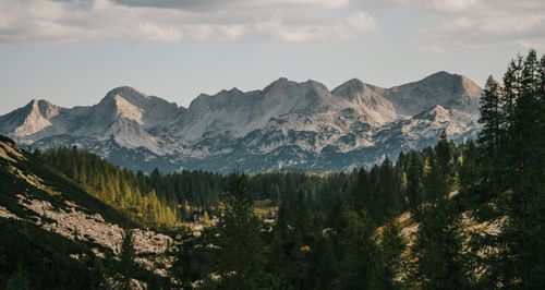 Free Breathtaking view of a mountain range and lush evergreen forest under a clear sky. Stock Photo