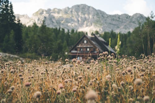 Wooden House on a Field in a Mountain Valley 