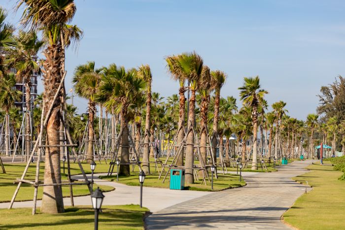 Sunny planted walkways winding through a low-water park