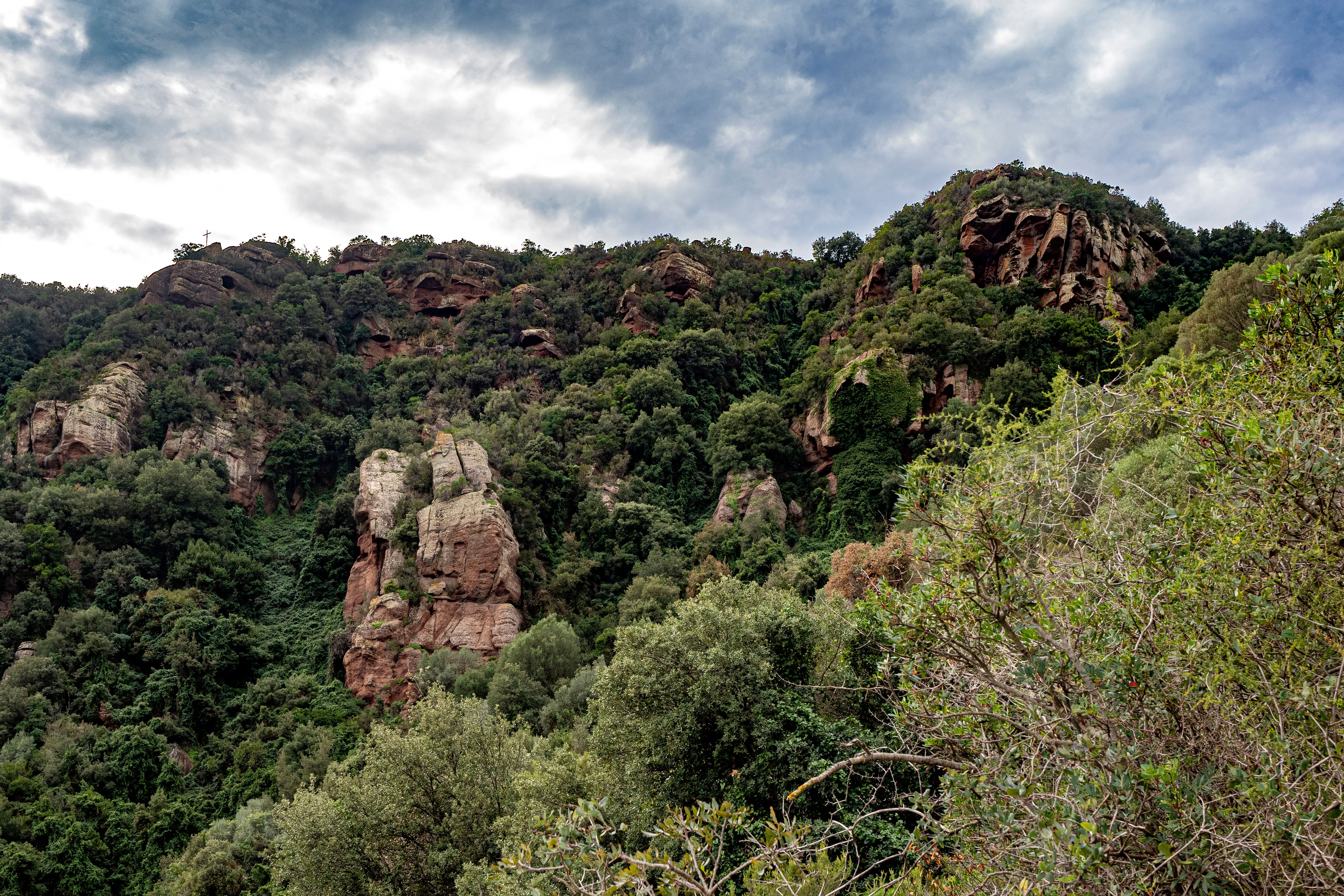 Garraf salvaje