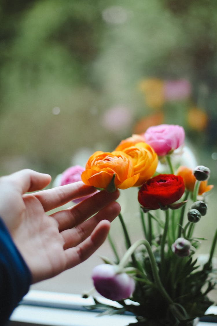 Hand Touching Blooming Flowers