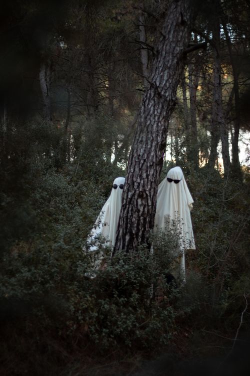 Free Two ghostly figures wearing white sheets with sunglasses among forest trees, perfect for Halloween vibes. Stock Photo