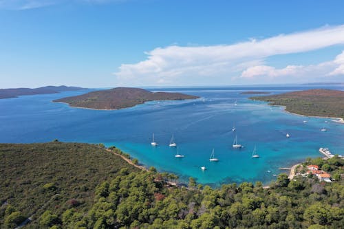 ada, ağaçlar, deniz içeren Ücretsiz stok fotoğraf