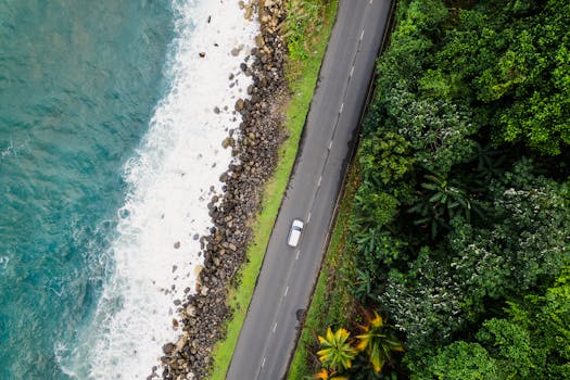 Aerial shot of a scenic coastal road in Spring Garden, Jamaica, next to lush greenery and blue ocean. by Aviz