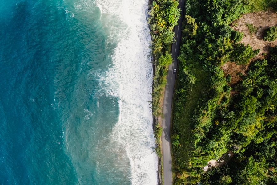 Coastal greenery along Jamaica's north coast