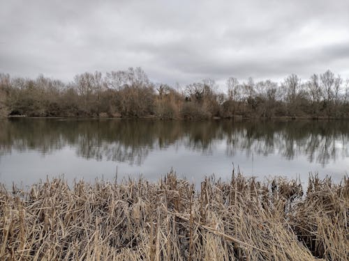 Lower Moor Nature Reserve