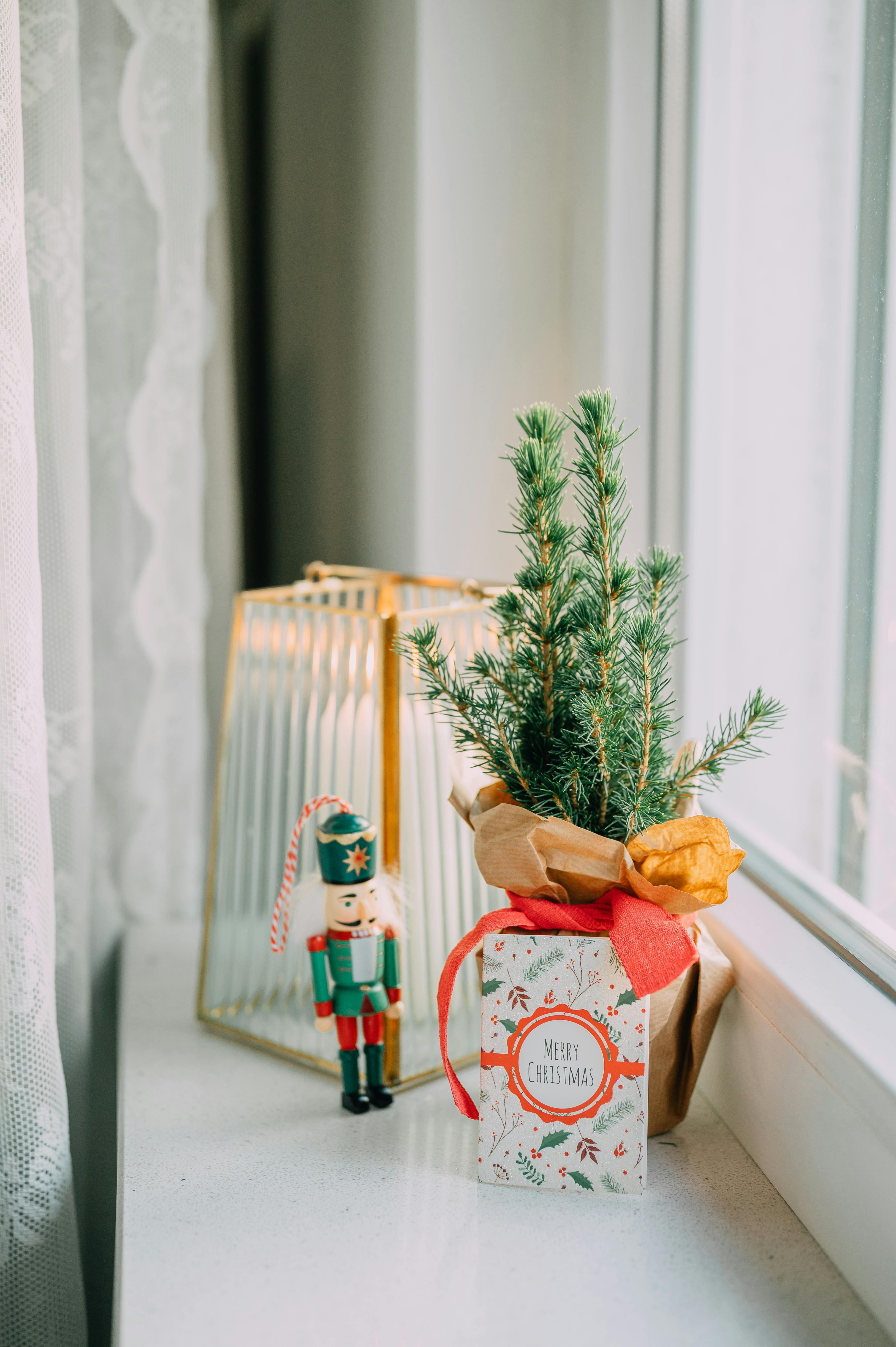 A cozy Christmas windowsill featuring a nutcracker and a pine plant in festive decor.