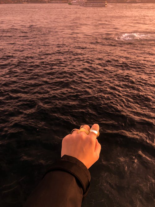 Person Holding Hand above Sea