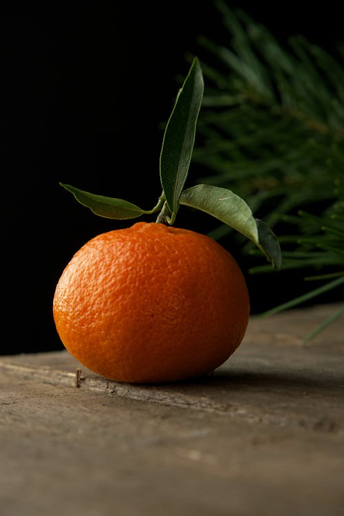 Gratis lagerfoto af appelsin, Citrus, frugt Lagerfoto