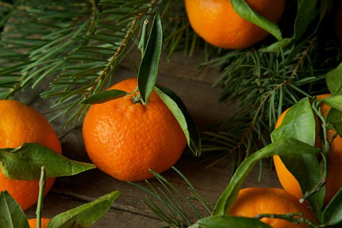 Kostnadsfri bild av apelsiner, färsk, frukt