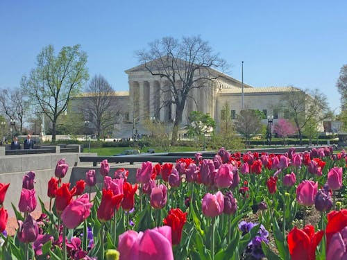 Foto d'estoc gratuïta de dc, EUA, washington