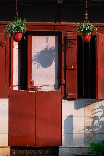Red door and window with hanging plants capturing rustic charm in Mumbai.