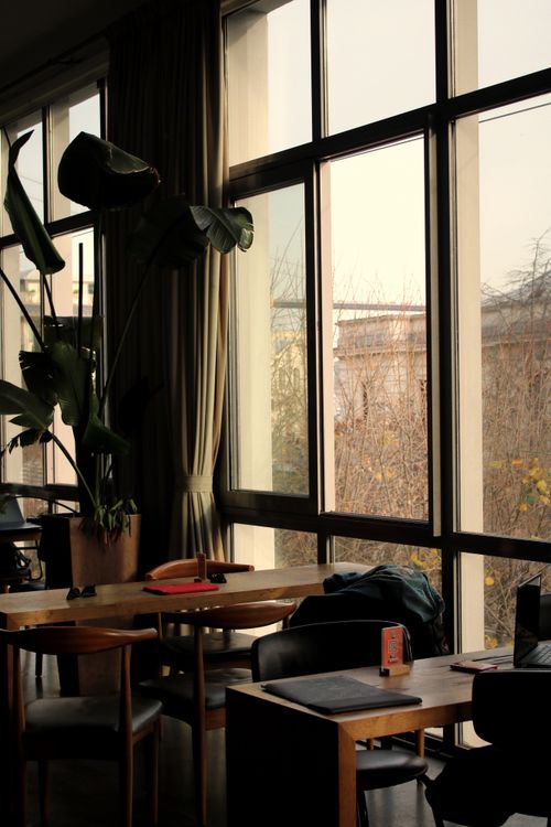 Free Sunlit cafe interior with wooden tables, chairs, and lush green plants by the windows. Stock Photo