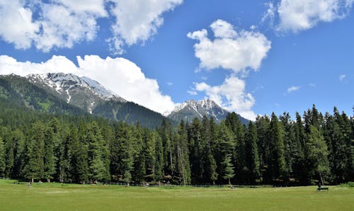 A Green Grass Field with Trees Near the Snow Covered Mountains Under the Blue Sky and White Clouds