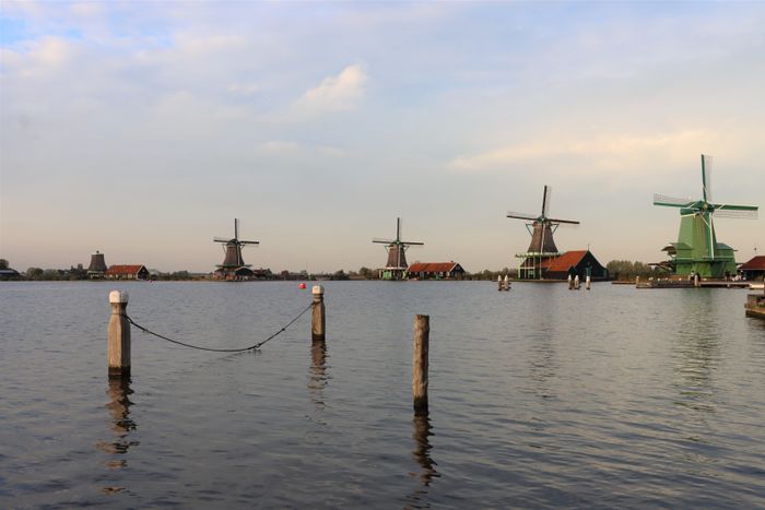 Netherlands experience