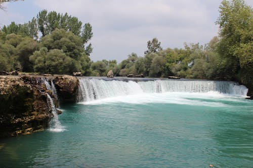 Cascate Circondate Da Alberi