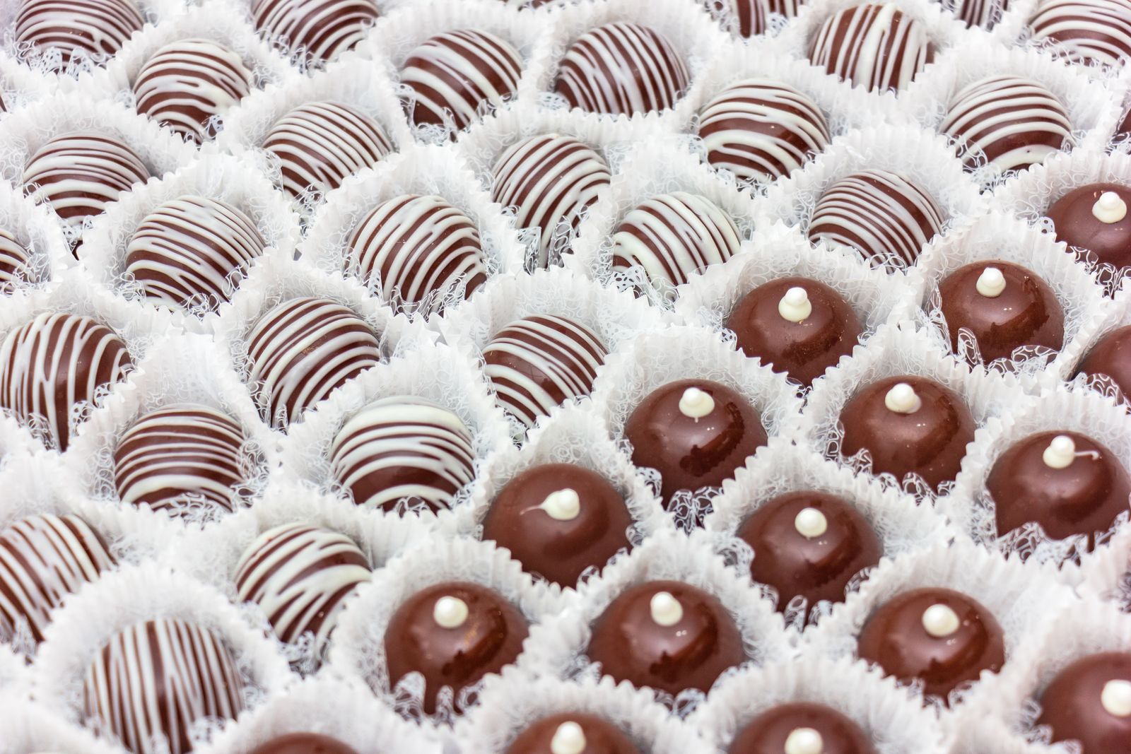 Twix Wholesale in the UK: A Buyer's Guide