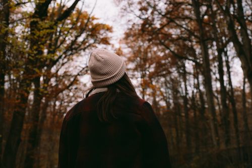 Free A person wearing a beanie enjoys a walk in a tranquil autumn forest, surrounded by fall foliage. Stock Photo