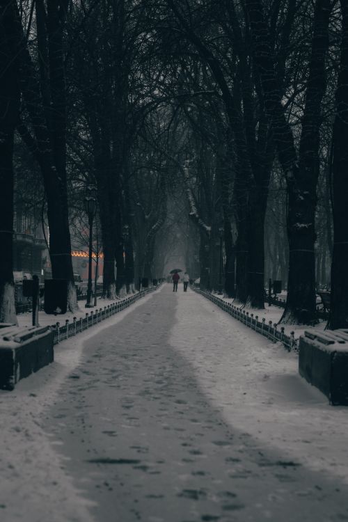 Free A serene winter scene of a snowy park alley with bare trees and distant pedestrians. Stock Photo