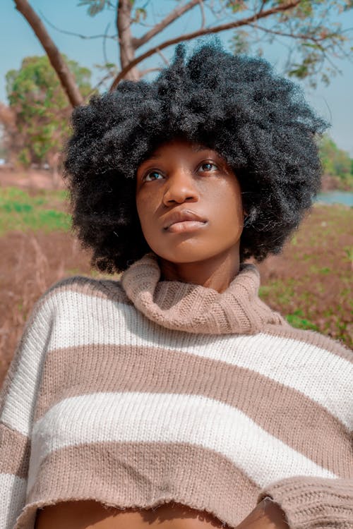 คลังภาพถ่ายฟรี ของ ค้นหา, บรูเน็ตต์, ผู้หญิงอเมริกันแอฟริกัน