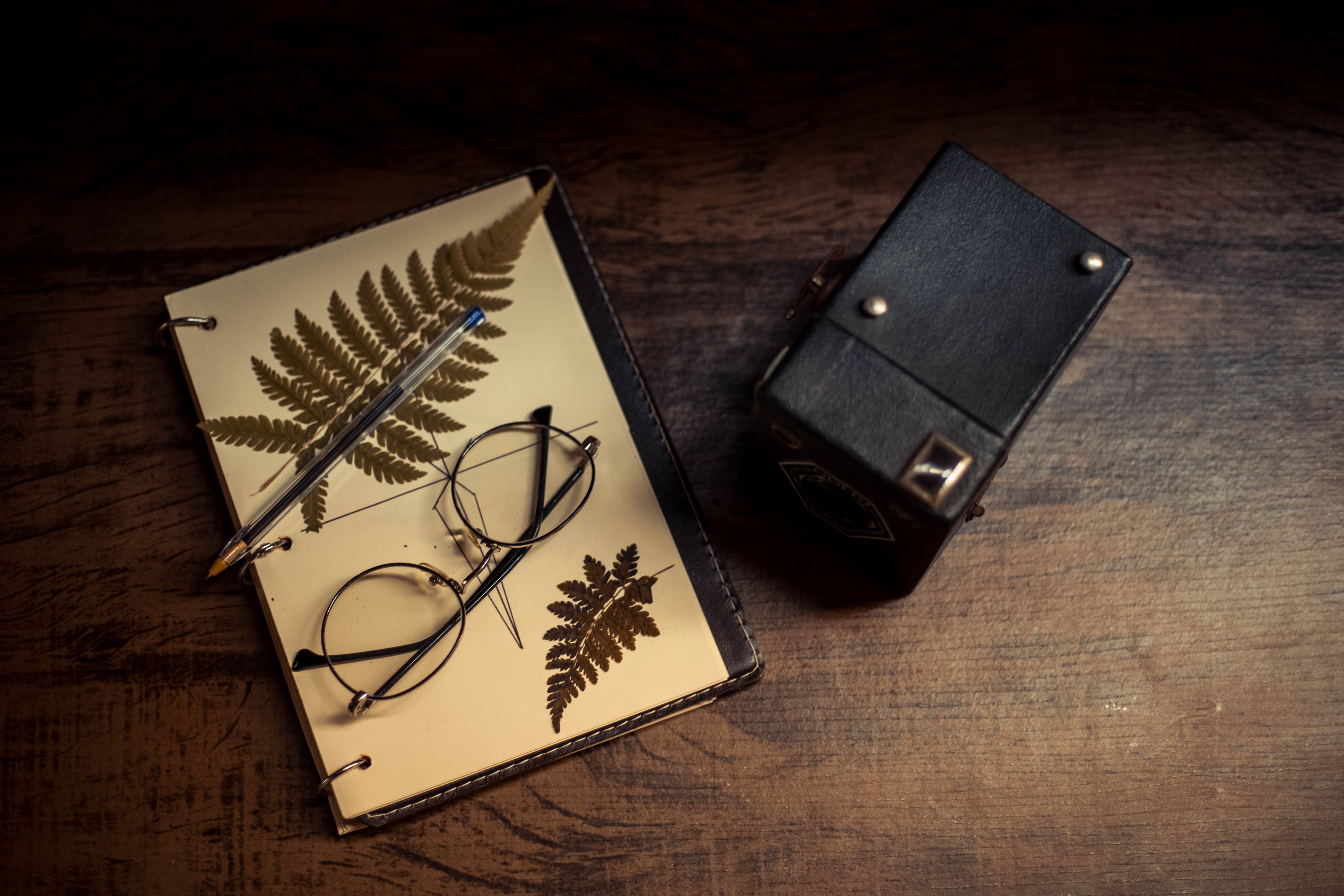 How to Find Creative Photography Inspiration in 7 Steps — Photo by Wallace Chuck on Pexels