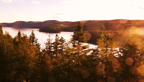 Kostnadsfri bild av bergen, dagsljus, himmel