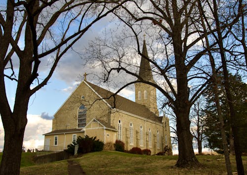 Foto profissional grátis de árvores, capela, cristandade