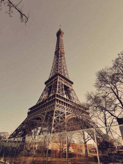 Free Low-angle view of the Eiffel Tower with bare trees in Paris. Stock Photo