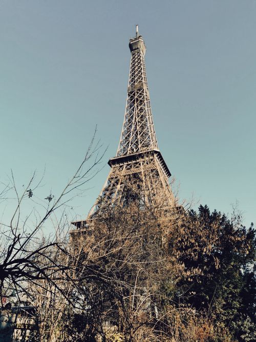 Free Capture of the Eiffel Tower with clear blue sky and trees in the foreground. Stock Photo