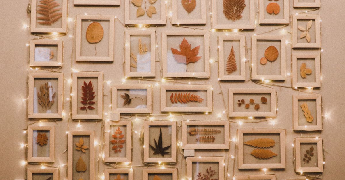 Why Your Gallery Wall Looks 'Messy' (And The Pro Secret to a Cohesive Display)