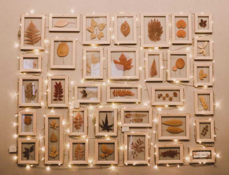 Mirrors as Both Decor and Light-Enhancing Features
