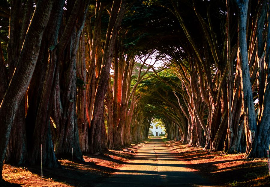 Point Reyes