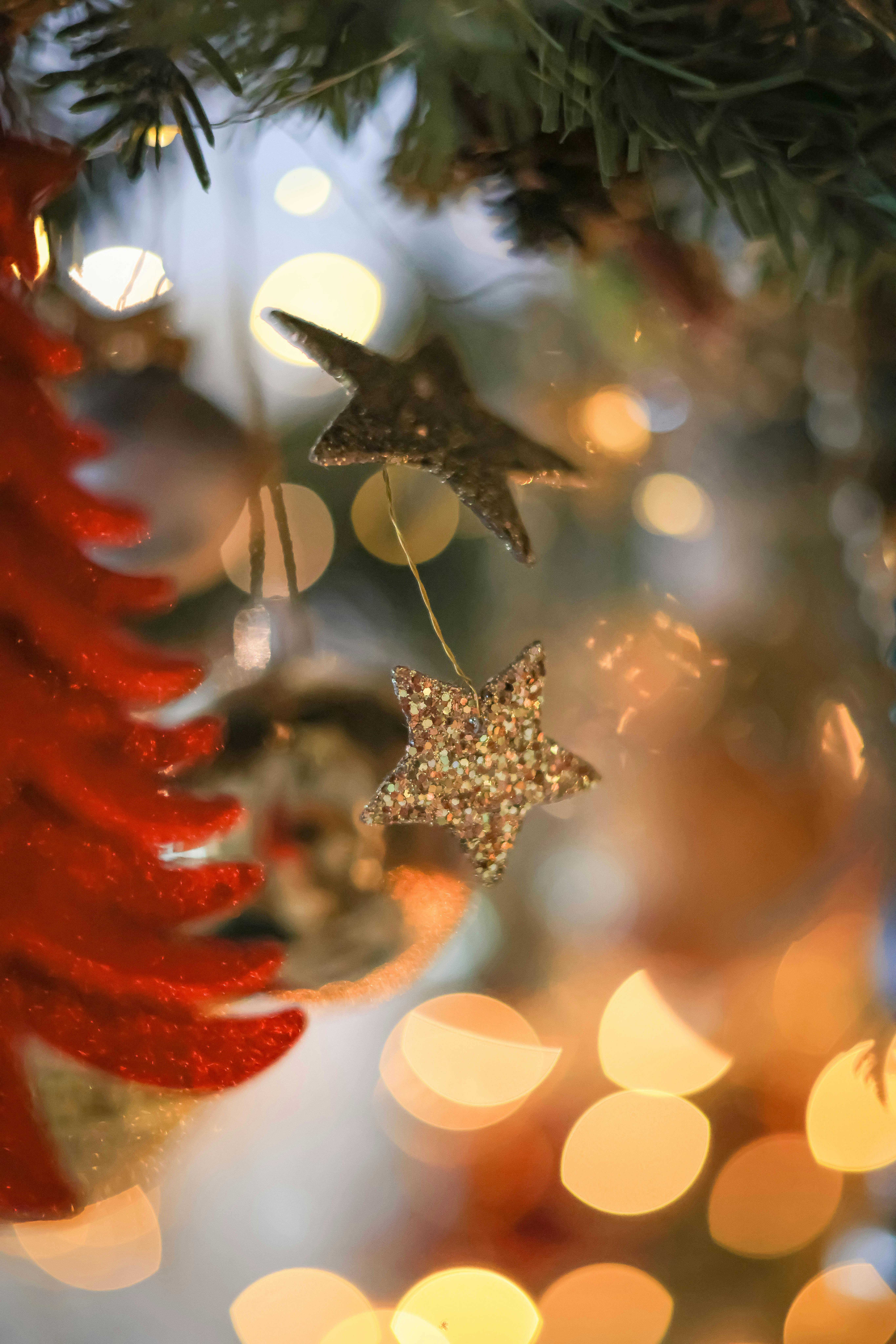 Free stock photo of ball, blur, bright, celebration, christmas, color, decoration, eve, glisten, gold, insubstantial, light, merry, new year, season, shining, tree, winter Free stock photo of ball, blur, bright, celebration, christmas, color, decoration, eve, glisten, gold, insubstantial, light, merry, new year, season, shining, tree, winter