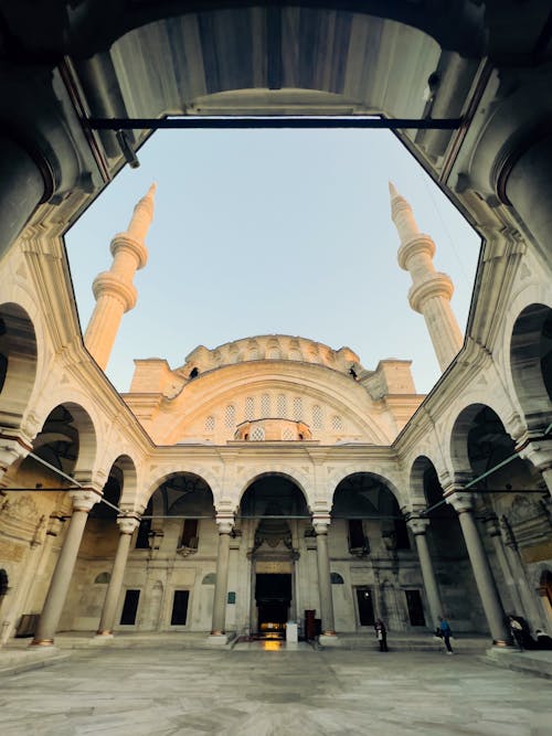 Základová fotografie zdarma na téma architektonický, Istanbul, krocan