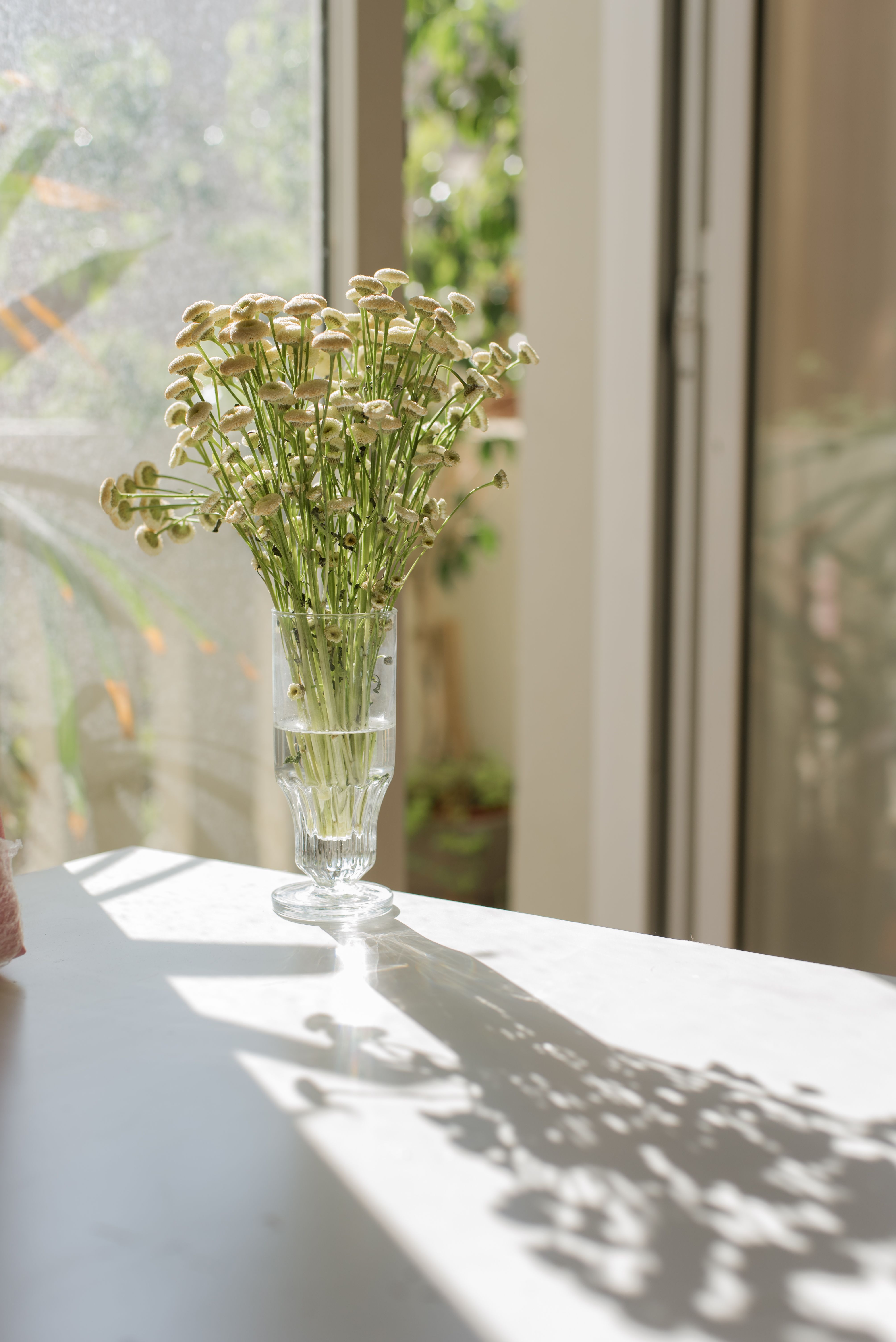 A calming floral bouquet in a glass vase on a sunlit table, casting soft shadows.