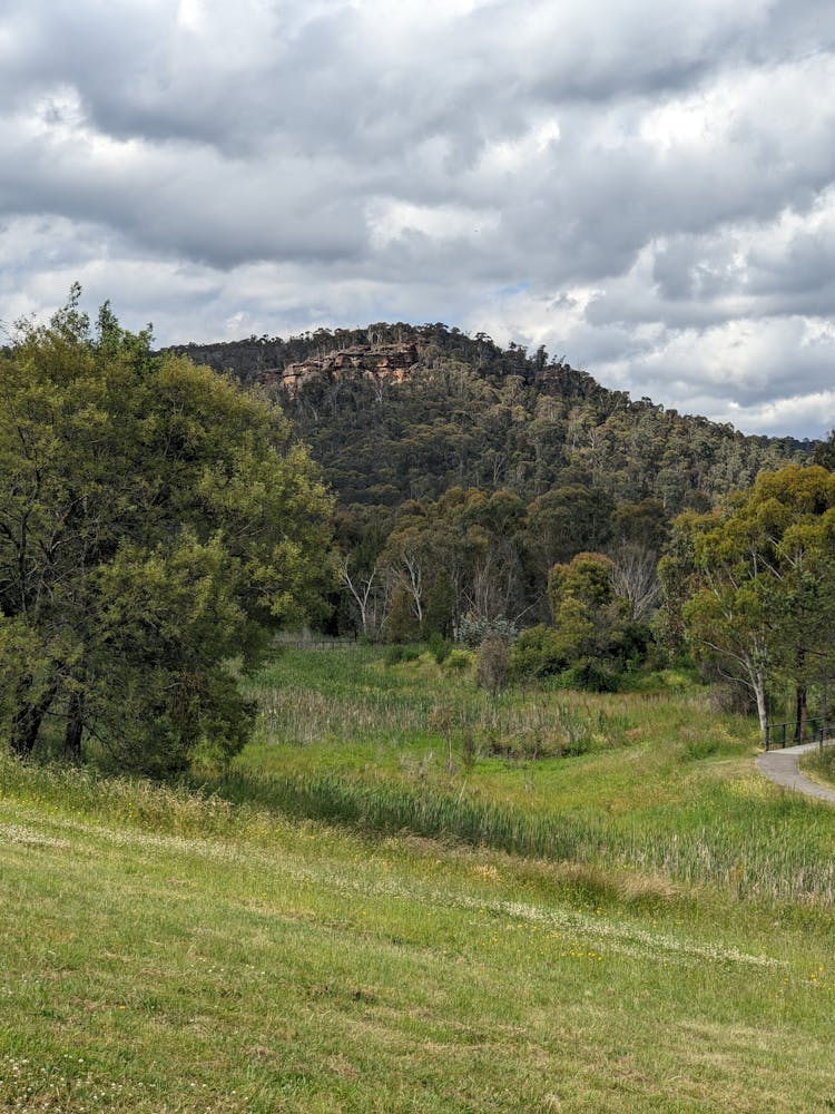 A Grass Field And A Hill Covered In Trees