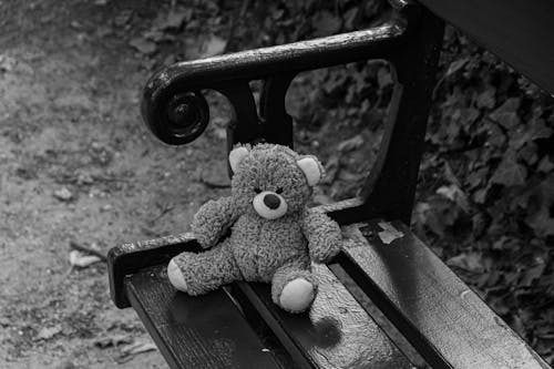 Kostnadsfria Kostnadsfri bild av gråskale, leksak, nallebjörn Stock foto