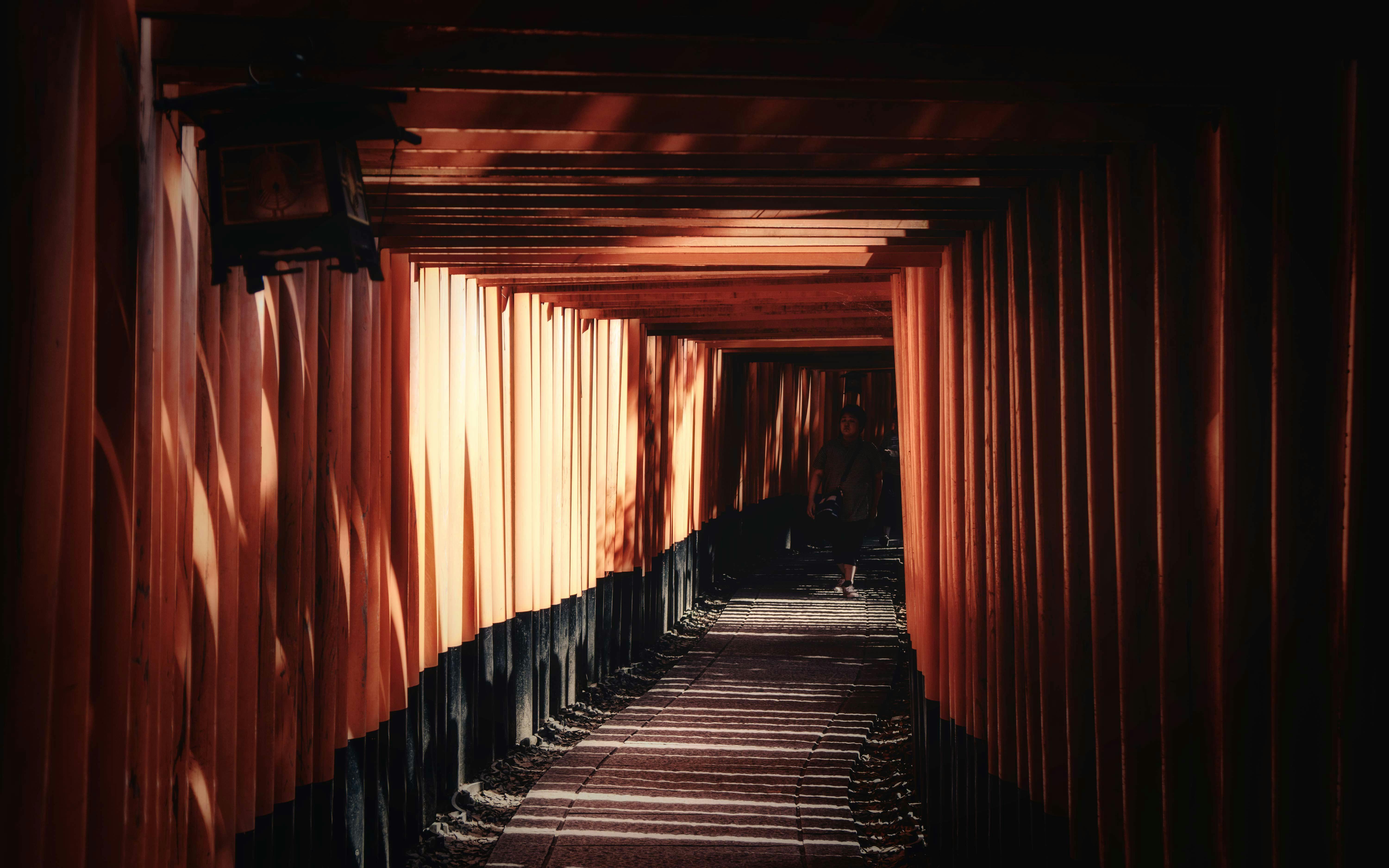 Esplanade Photos, Download The BEST Free Esplanade Stock Photos & HD Images