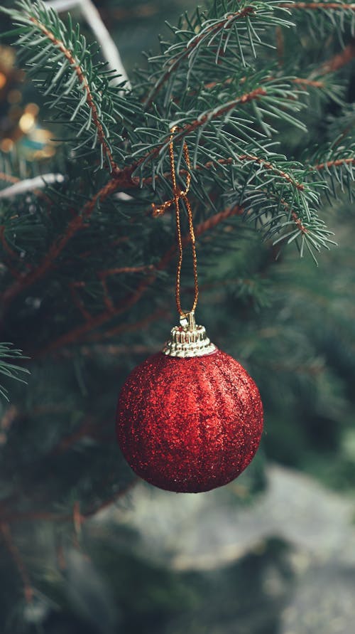 A Red Christmas Ball Hanging on the Christmas Tree