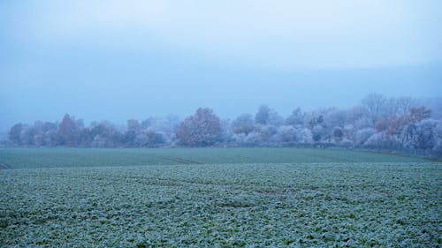 Kostnadsfri bild av åkermark, dimma, fält