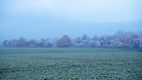 Gratis lagerfoto af agerjord, bane, dis