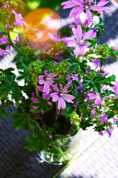 阳光下，紫色花朵的特写展现了充满活力的花朵与绿叶