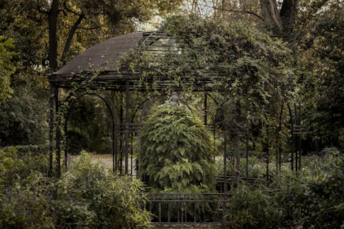 A Gazebo Surrounded by Green Trees and Shrubs in a Garden 