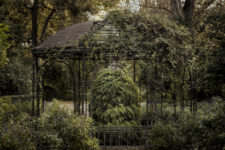 A Gazebo Surrounded By Green Trees And Shrubs In A Garden 