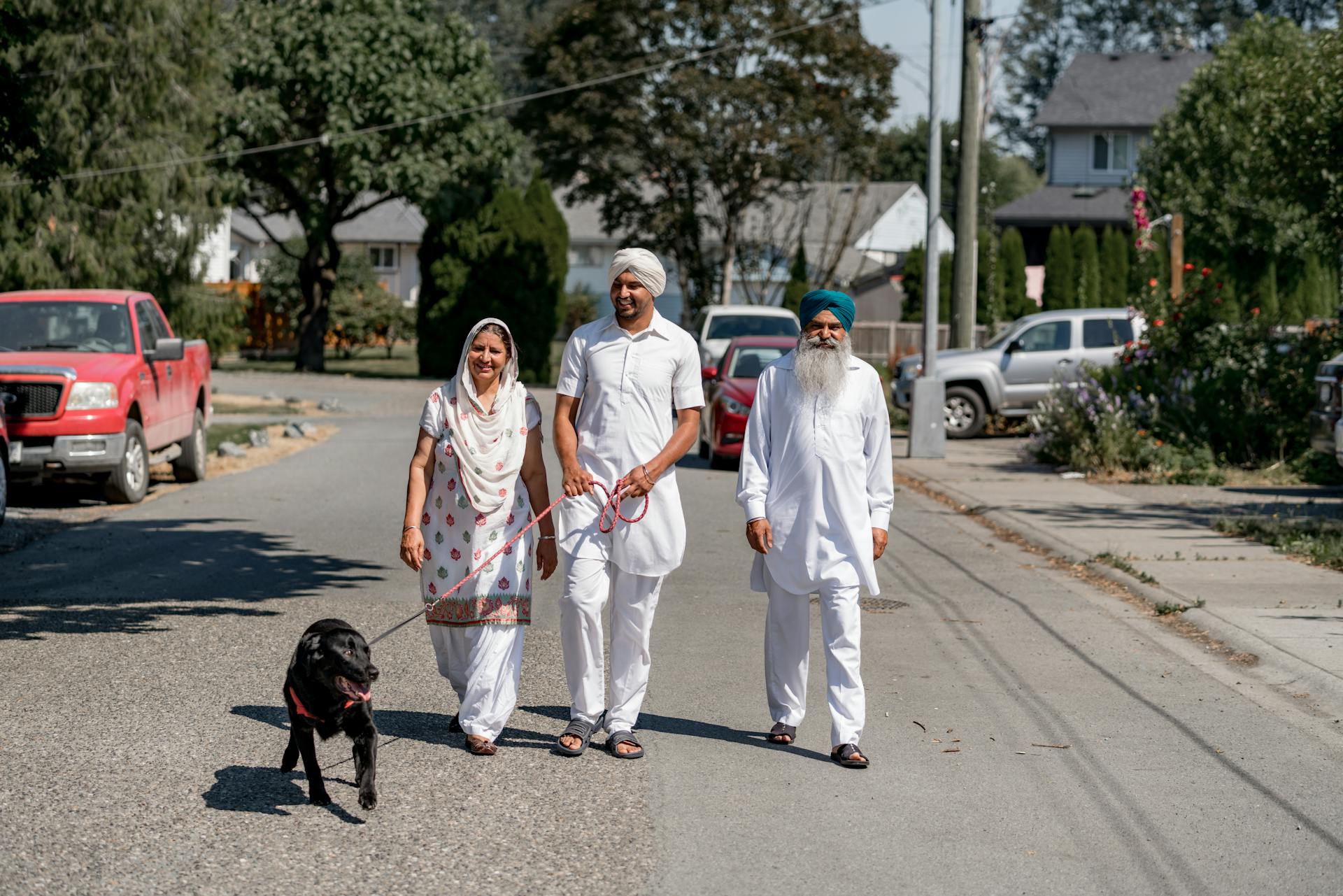 A People Walking on the Street with Dog