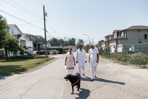 A Family Walking Their Dog Together