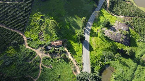 Бесплатное стоковое фото с Аэрофотосъемка, деревья, дом