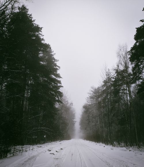 Free A tranquil forest path enveloped in snow, showcasing the serene beauty of winter. Stock Photo