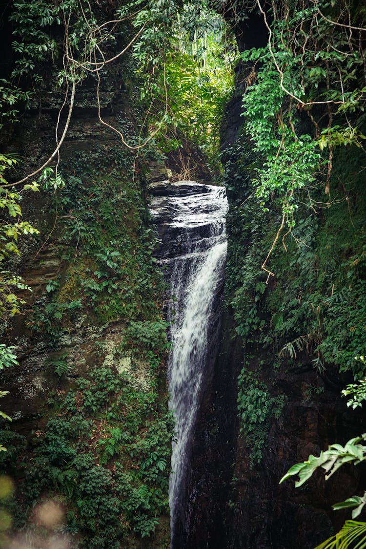 Waterfall In Wilderness