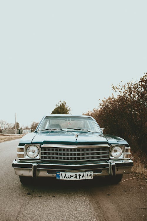 Green Buick Skylark